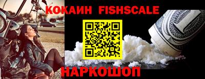 тгк Бийск