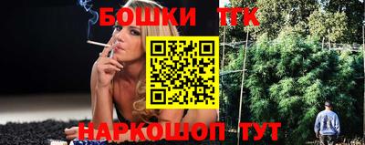 тгк Бийск