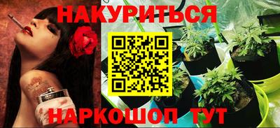 тгк Бийск