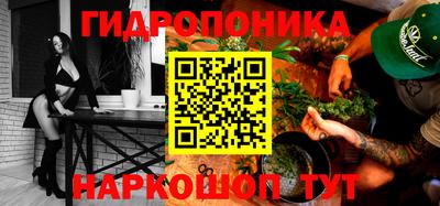 тгк Бийск