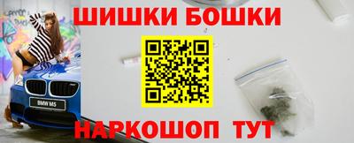 тгк Бийск