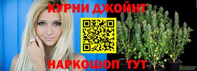 тгк Бийск