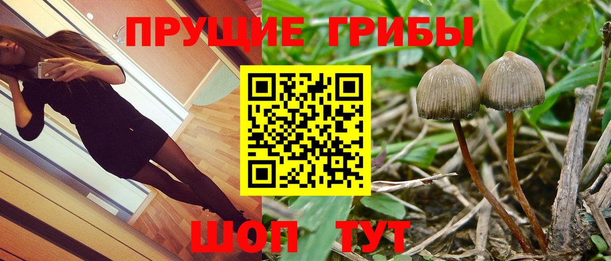 магазин продажи   Галлюциногенные грибы Cubensis  Вход с VPN  Клинцы 