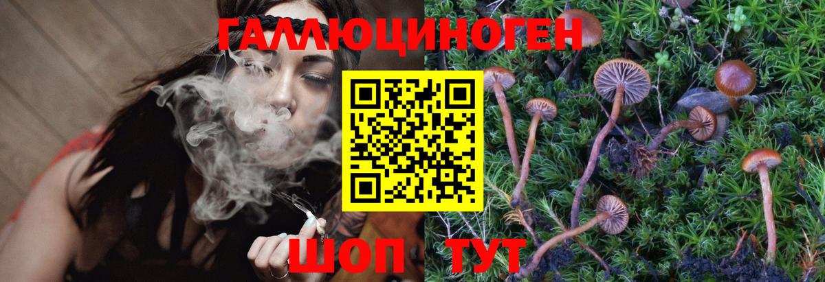 Псилоцибиновые грибы мицелий Клинцы