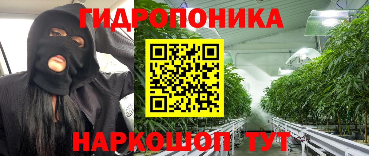 Бошки Шишки конопля  Шишки марихуана семена  Бошки марихуана планчик  Клинцы  Вход с VPN  Бошки марихуана план 